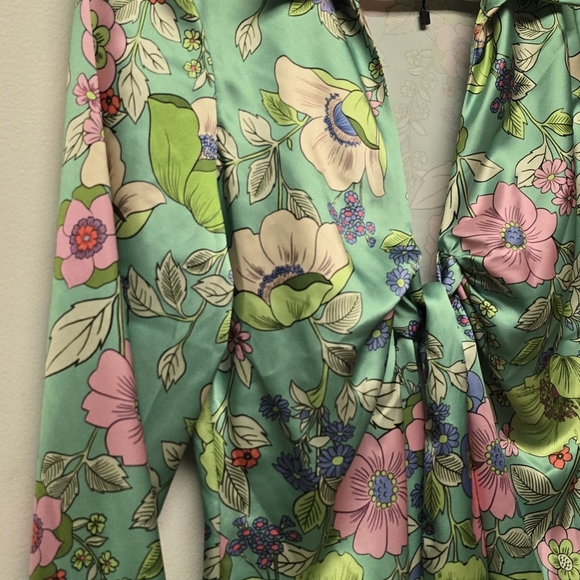 Zara Green Floral Buttondown Sheath Dress with Sweetheart Neckline - Picture 7 of 9